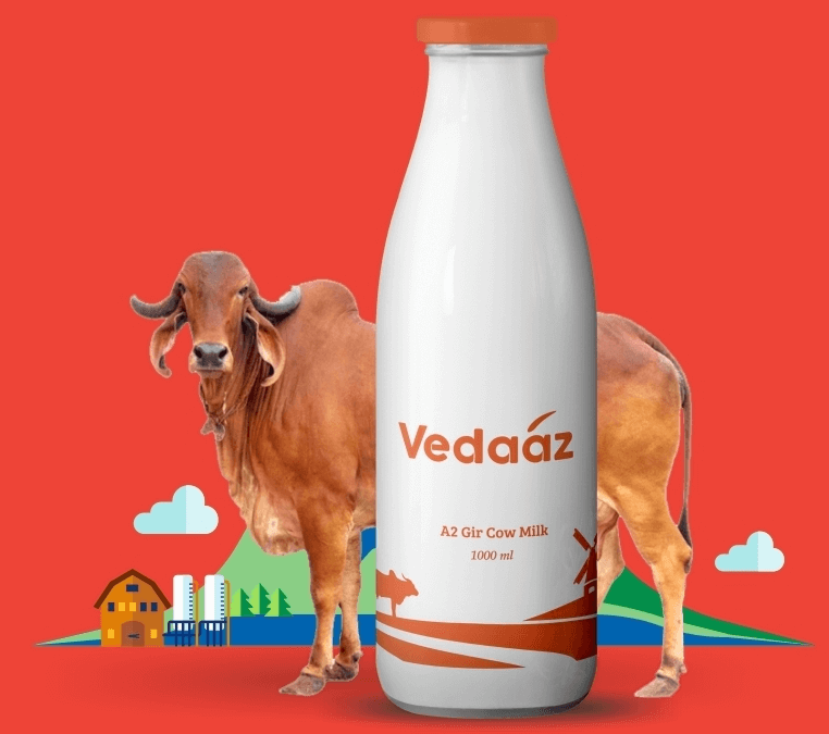 Vedaaz A2 Milk-Reintroducing traditional lifestyle with Desi cow milk or organic milk