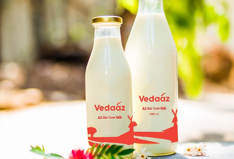 The best A2 milk in town? Get daily a2 milk home delivered: Vedaaz a2 milk